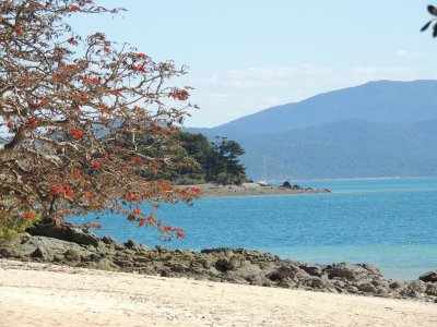 DSCN4168.JPG