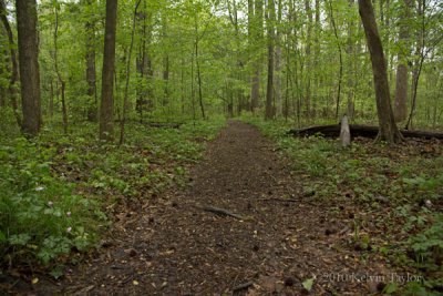 Swift Creek_01