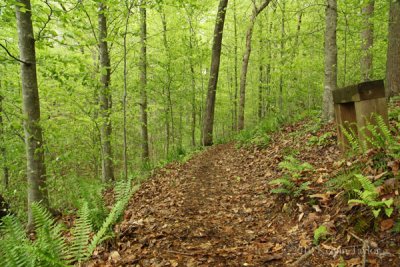 Swift Creek_06