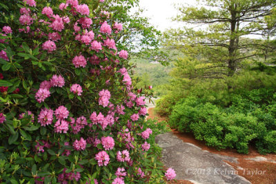 Panthertown Scenic Overlook 2