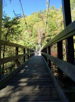 g4/61/350761/3/52001076.suspensionbridgeotherside.jpg