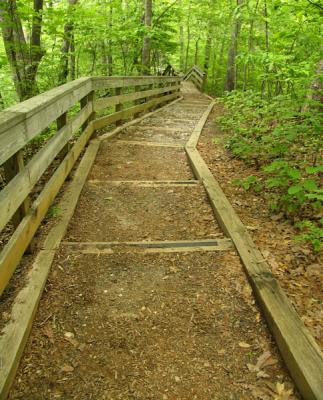 Trail to East Hemlock Bluffs