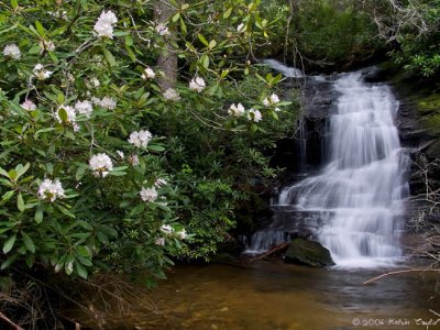 Falls on Billy Branch