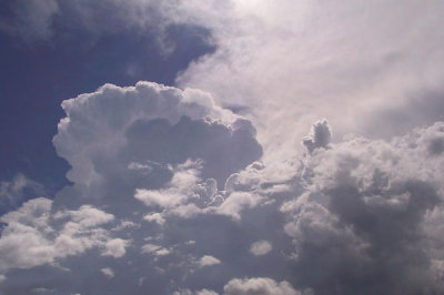 g4/61/350761/3/92218954.1ioXbi9P.jpg