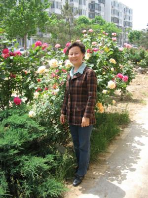 flowers blossom.JPG
