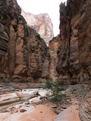grand canyon 2011 321web.jpg