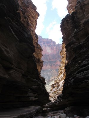 grand canyon 2011 126web.jpg