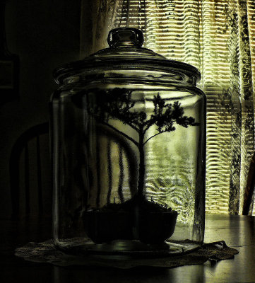 A Bell Jar...