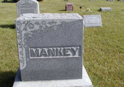 Mankey Stone Section 3 Row 12