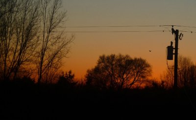 ...Brief silhouettes against an ancient sky 19