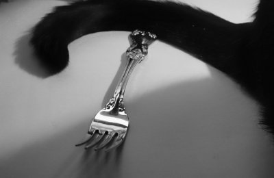 A Forktail