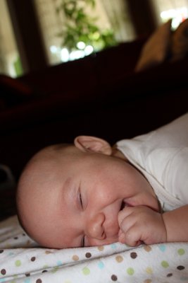 IMG_0854.jpg