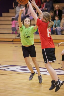 IMG_1517.jpg