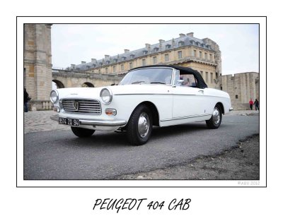 Peugeot 404