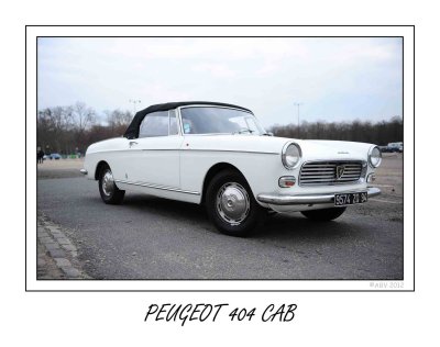 Peugeot 404