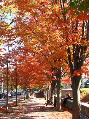 Princeton Downtown