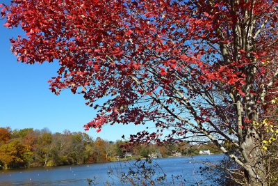 Carnegie Lake, Princeton