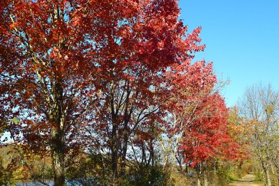 Canal park, Princeton