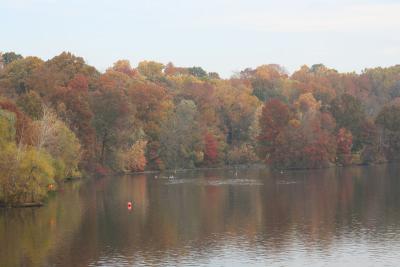 Carnegie Lake, Princeton