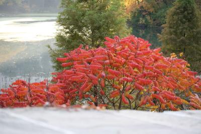 Central Park