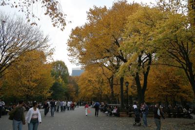 Central Park