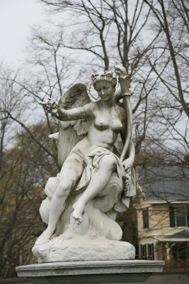 Boston angel