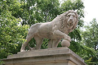 Lion at Baltimore Musuem of Art