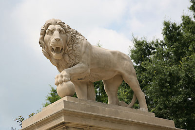Lion at Baltimore Musuem of Art