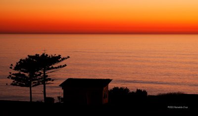 1D_31141-1.jpg