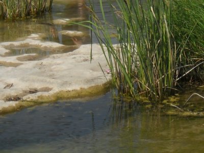 DSCN0240.jpg
