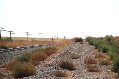 Along Rt. 84 NW of Lubbock