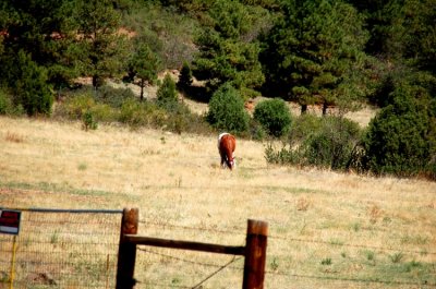 New Mexico