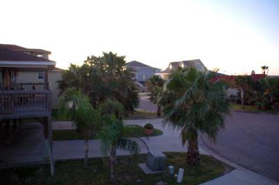 Early Morning from front deck