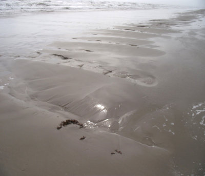 On the beach