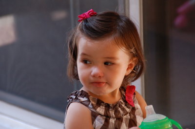 Carrie and Dan's Jul-2012-104.JPG