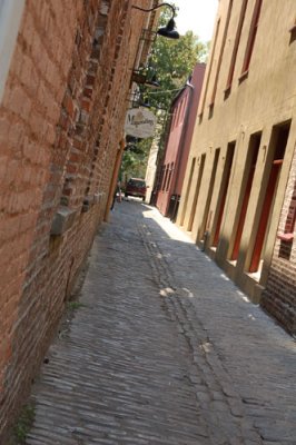 DSC_1666.jpg