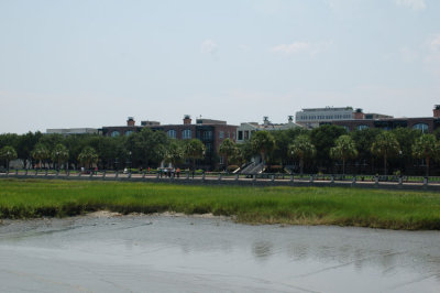 DSC_1676.jpg