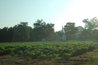 DSC_1771.jpg