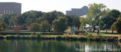  Sunny Sunday in Austin