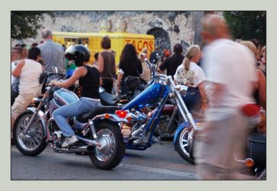 rot_rally__austin