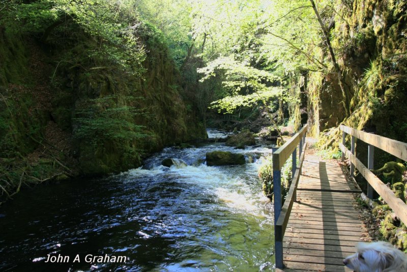 Ness Glen