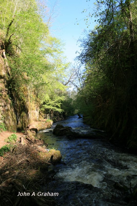 Ness Glen