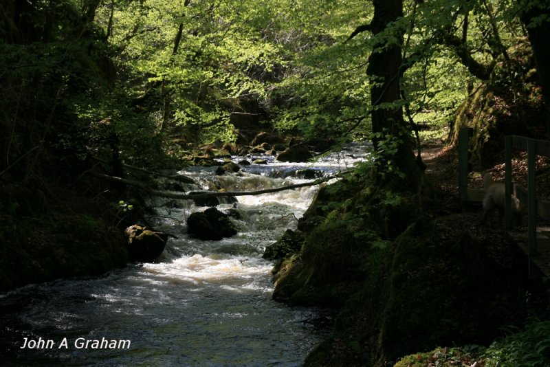 Ness Glen