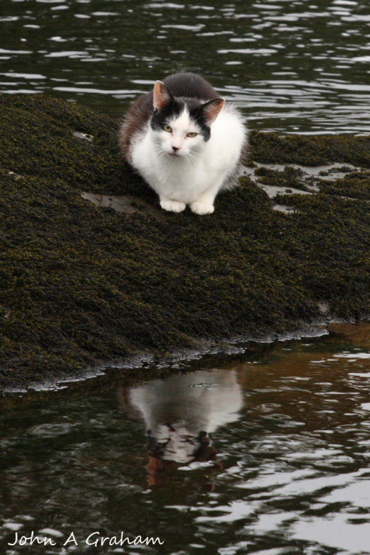Gone fishing