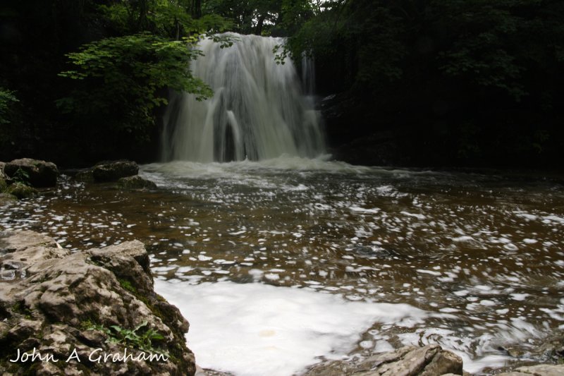 Janets Foss