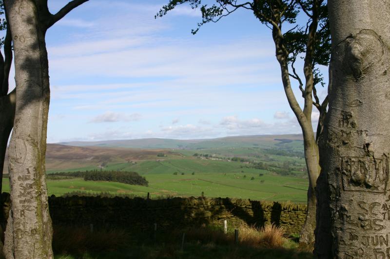 Hill End from the Elephant trees.