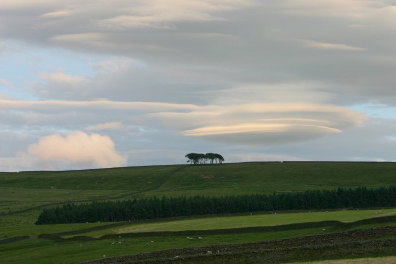 lenticular clouds and elephants