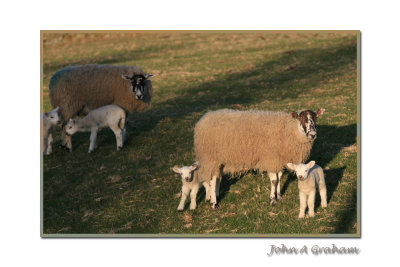 outstanding in their field