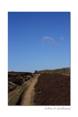 on the moor