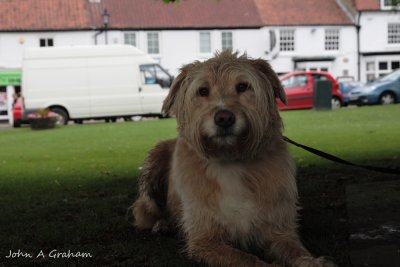 Tired and mucky